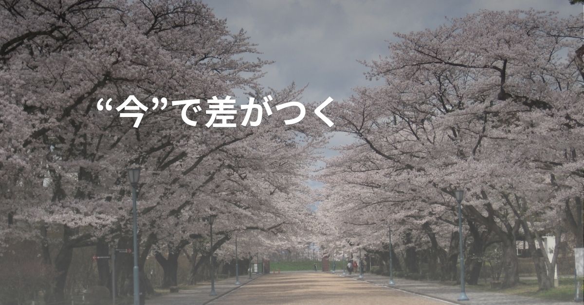 2026年度中学受験の結果報告を伝える桜のアイキャッチ画像